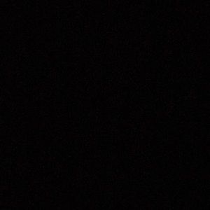 Meet your Posher, Jake